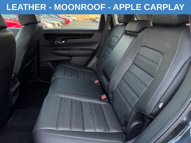 Used 2026 Honda CR-V EX-L image 5