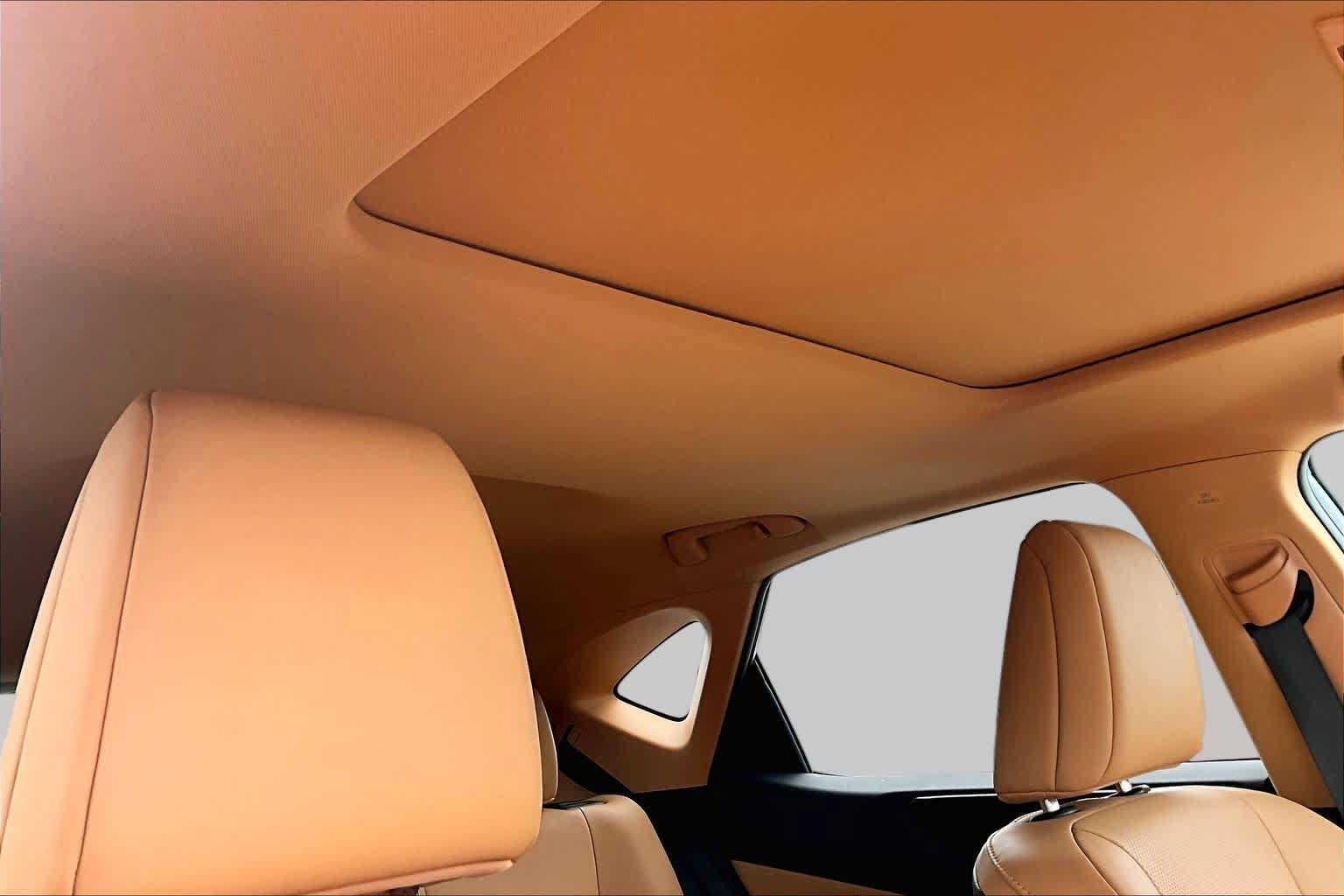 Used 2024 Lexus NX 250 FWD w/ Cold Area Package image 14