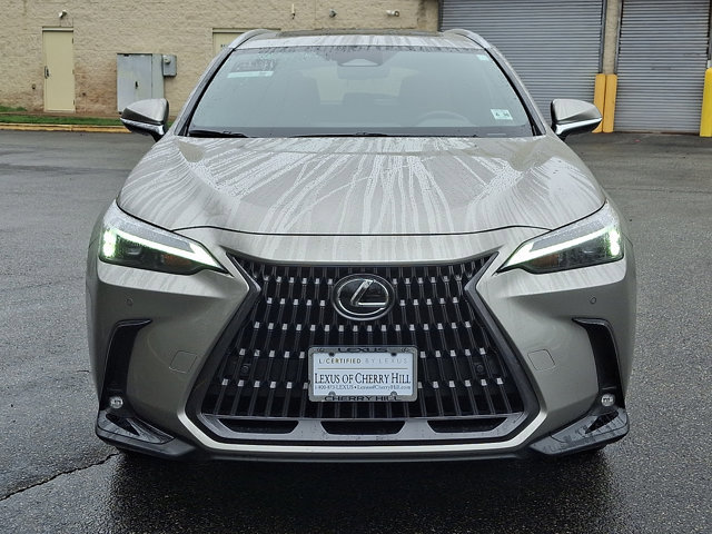 Used 2025 Lexus NX 350h AWD w/ Cold Area Package image 2