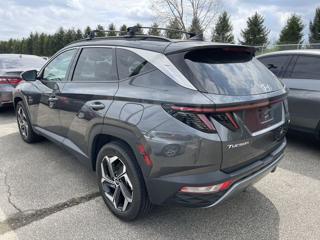 Used 2024 Hyundai Tucson Limited AWD/4WD image 7