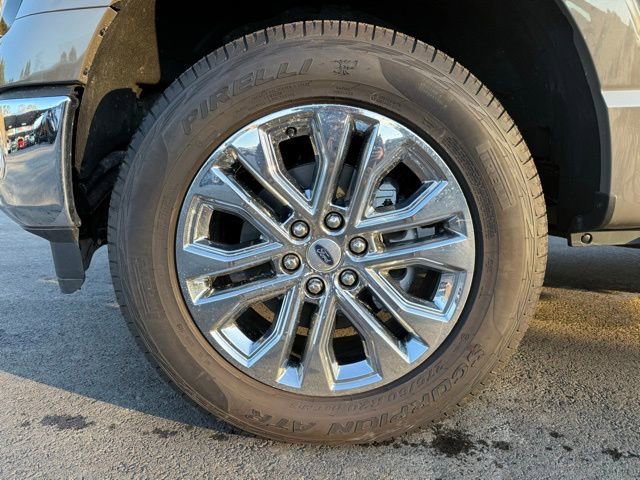 New 2025 Ford F150 XLT w/ Equipment Group 302A MID image 9