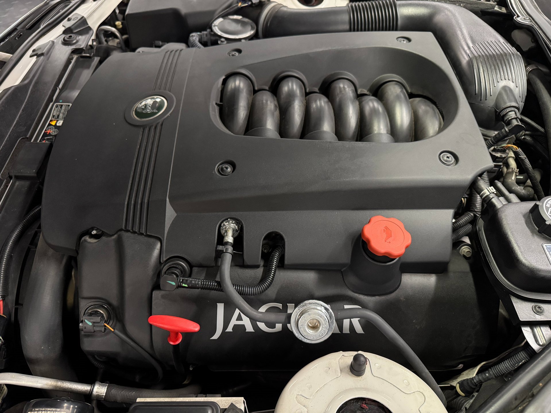 Used 2003 Jaguar XK8 Convertible image 40