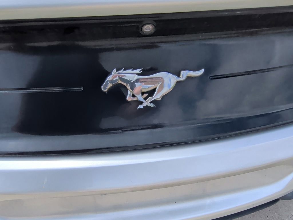 Used 2019 Ford Mustang Premium RWD image 9