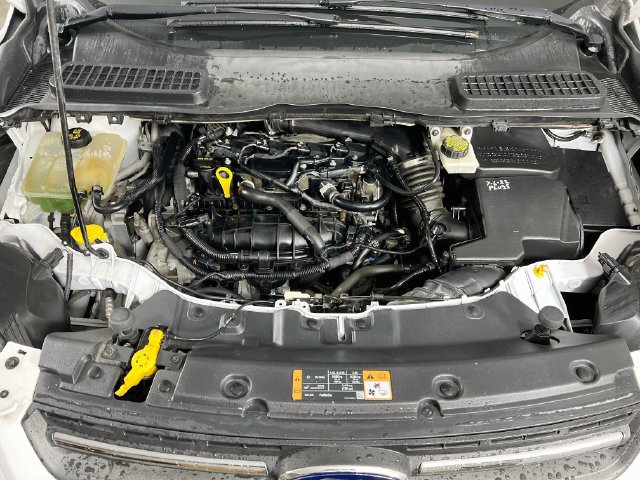 Used 2014 Ford Escape SE AWD/4WD image 25