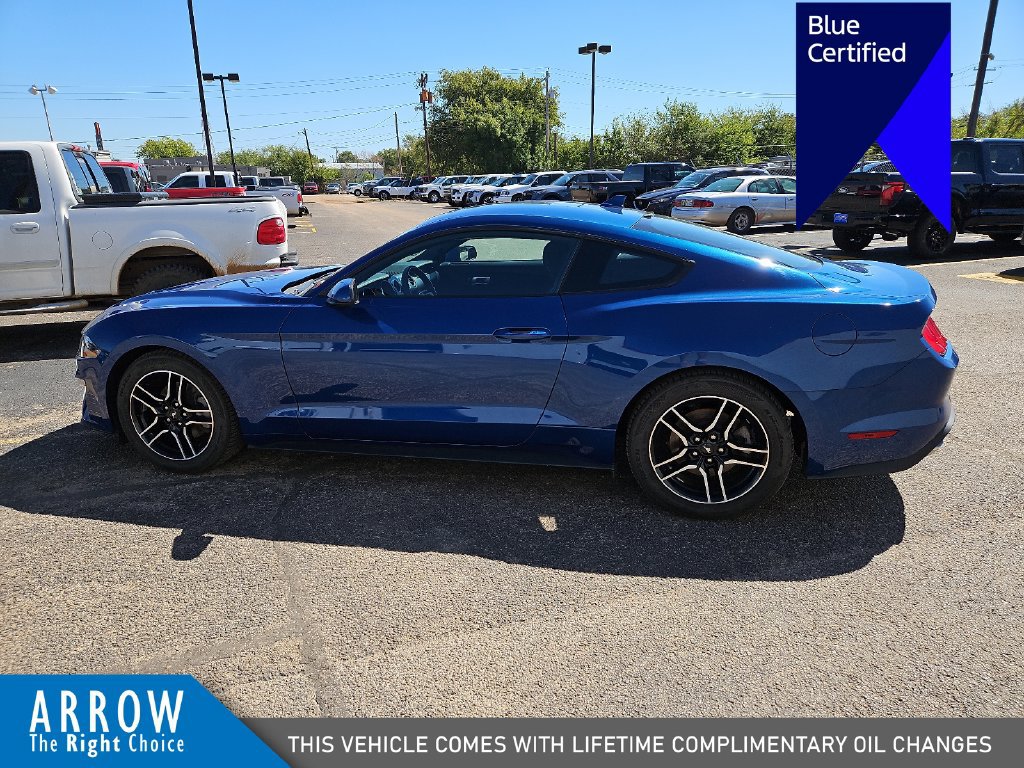Certified 2023 Ford Mustang Coupe w/ Equipment Group 101A RWD image 7