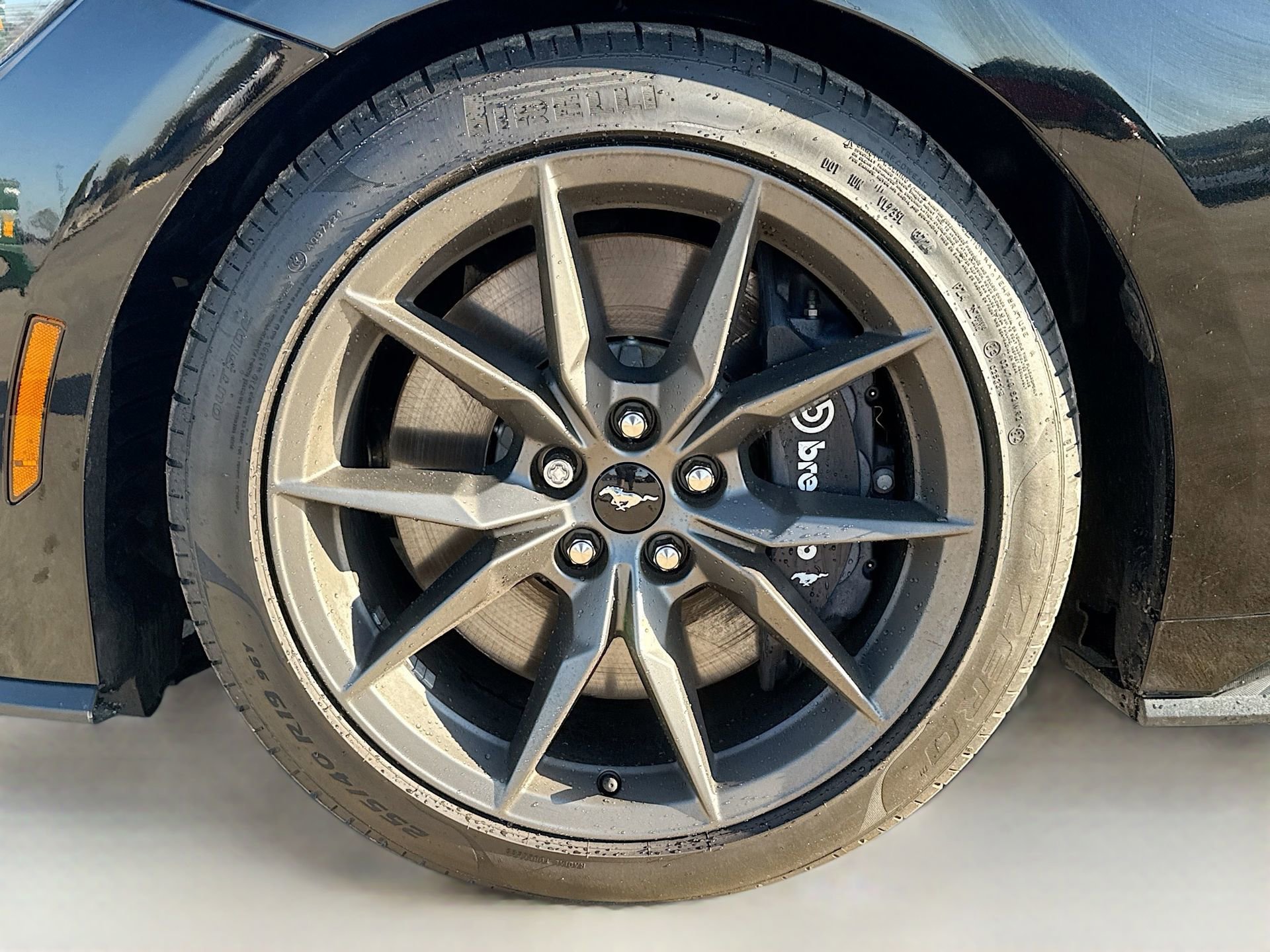 New 2025 Ford Mustang Dark Horse image 36