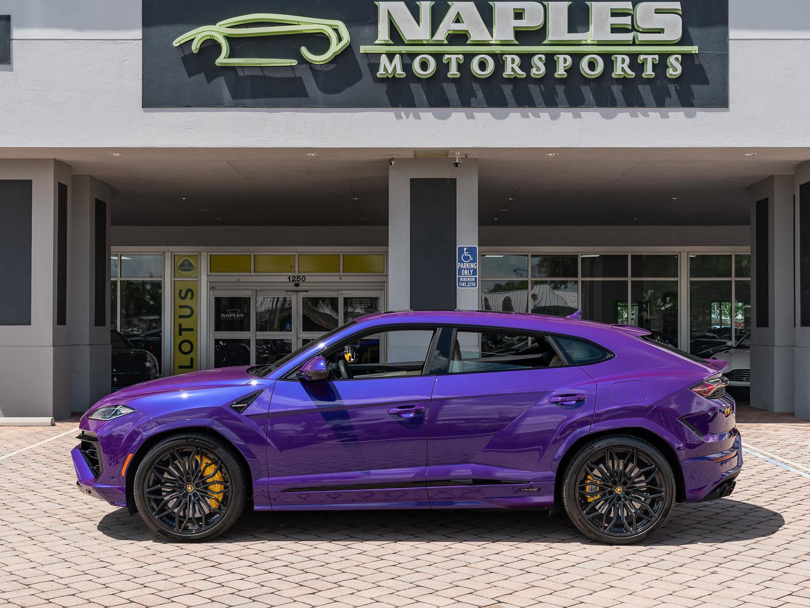 Used 2025 Lamborghini Urus SE image 25