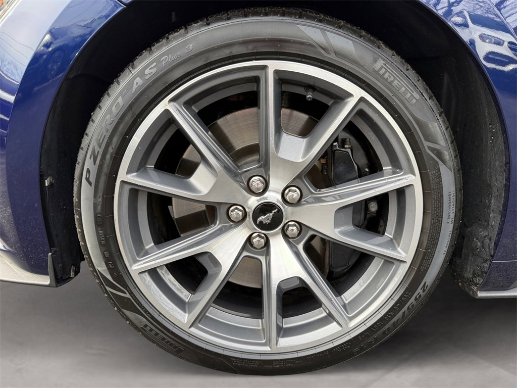 Used 2015 Ford Mustang 50 Years image 14