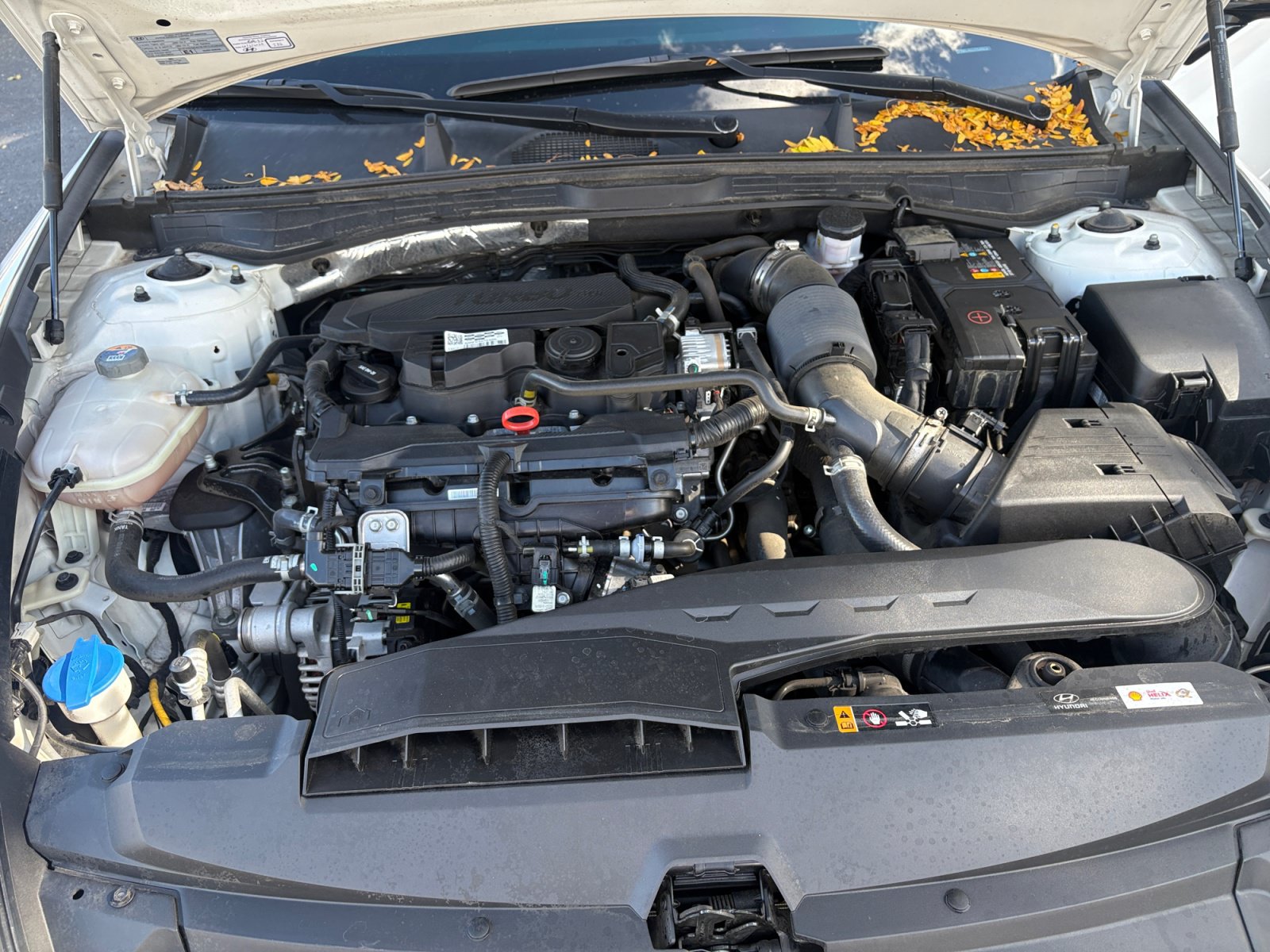 Used 2023 Hyundai Sonata SEL Plus w/ Cargo Package FWD image 21