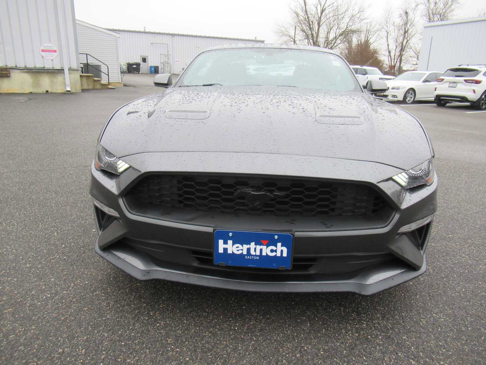 Used 2018 Ford Mustang EcoBoost w/ Equipment Group 101A image 2