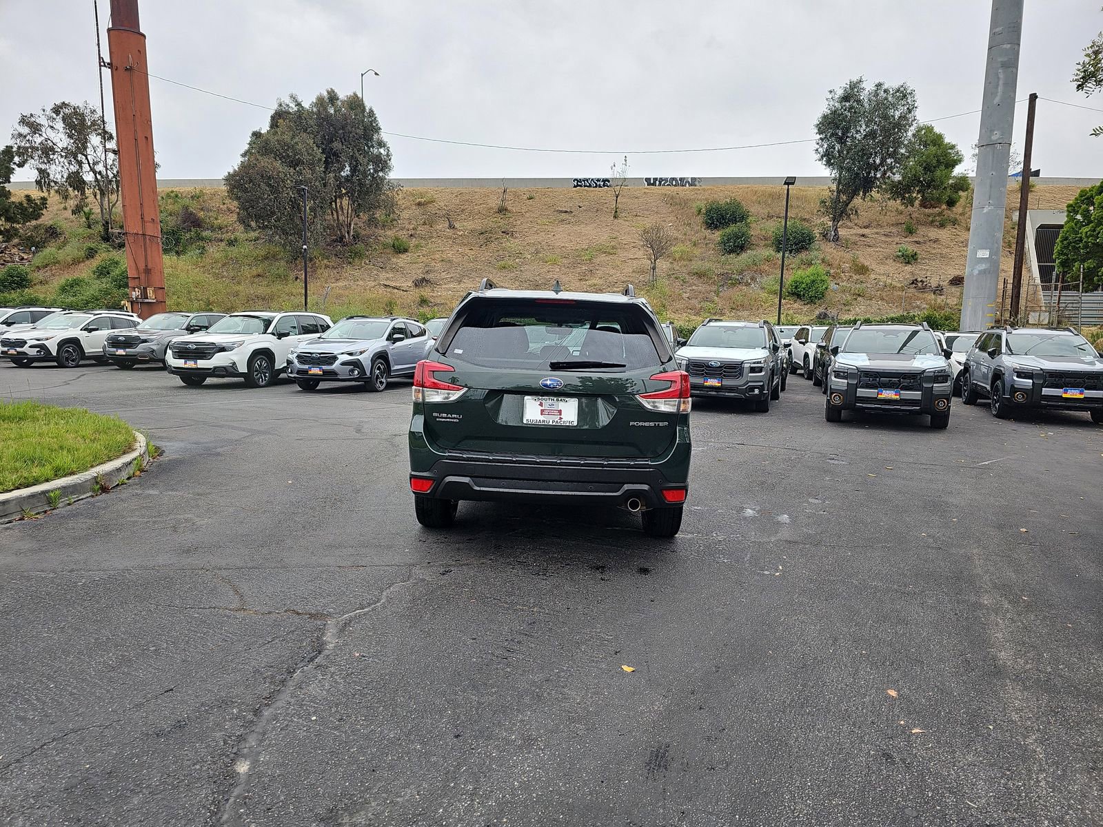 Certified 2023 Subaru Forester Limited image 6