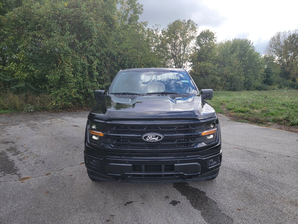 New 2025 Ford F150 XLT image 2