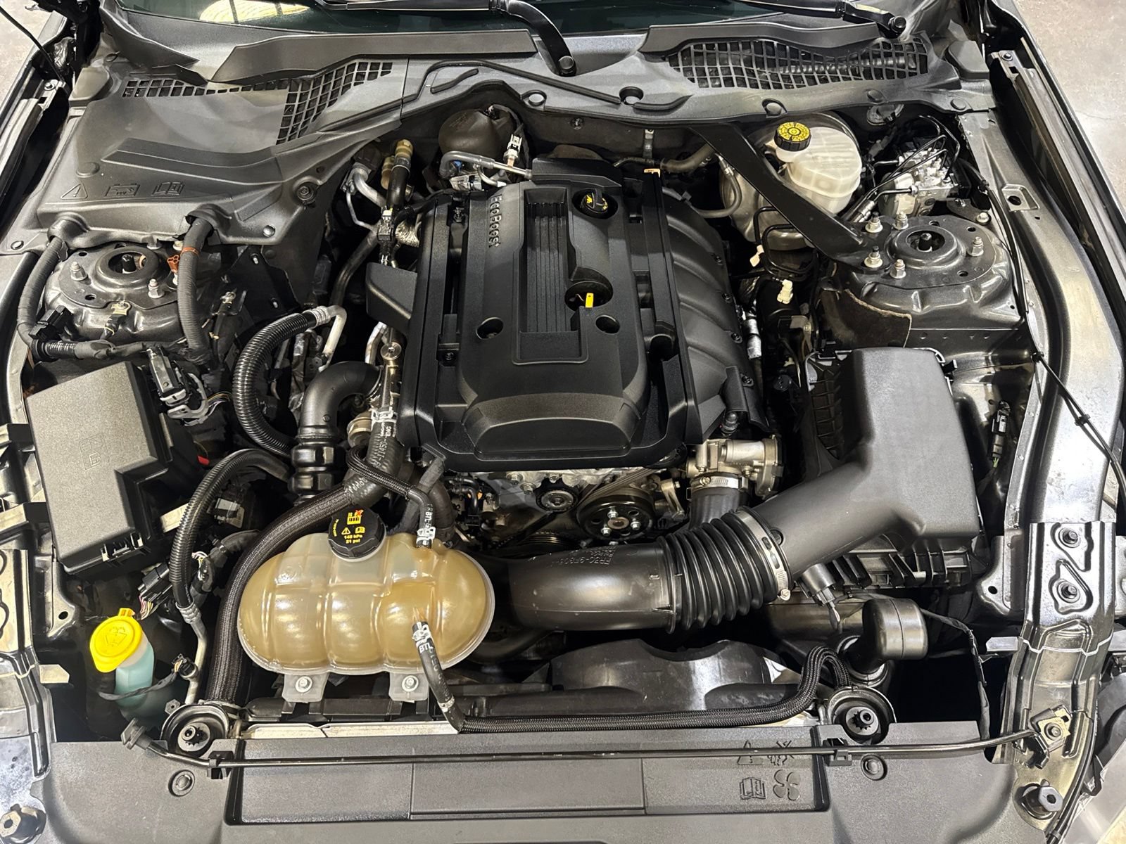 Used 2019 Ford Mustang Premium w/ Equipment Group 201A RWD image 40