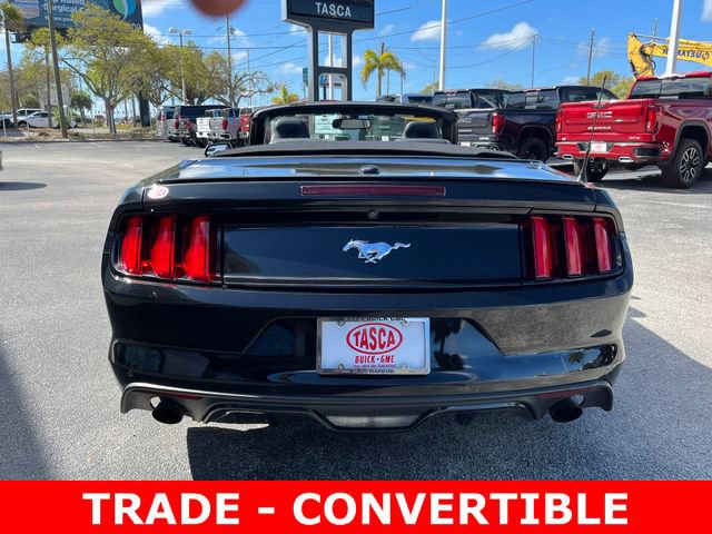 Used 2017 Ford Mustang Premium image 6