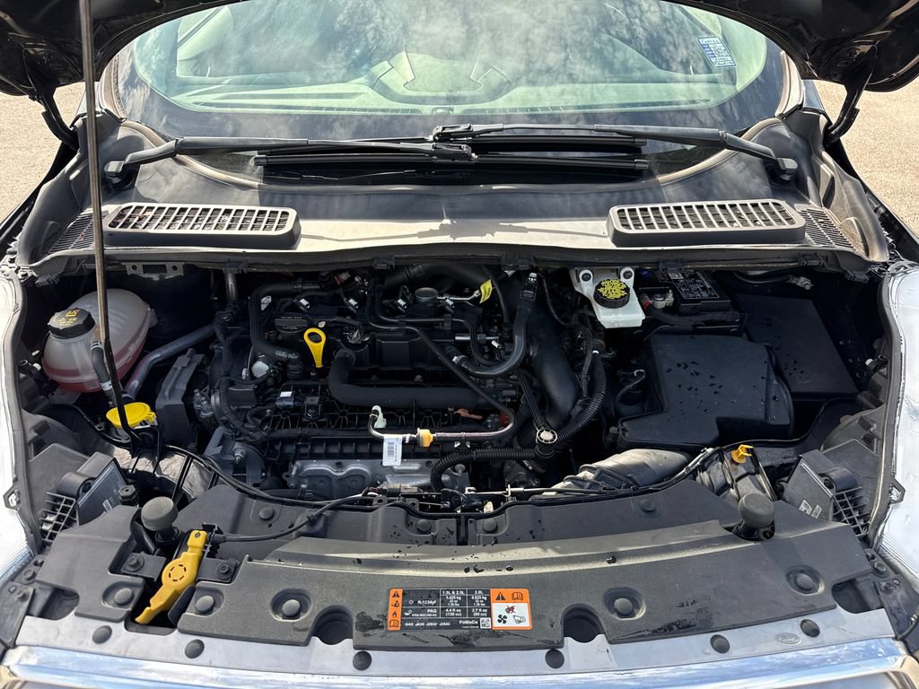 Used 2019 Ford Escape SEL FWD image 27