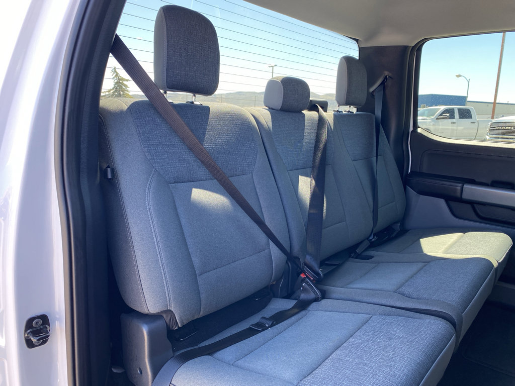 Used 2025 Ford F150 XLT w/ Equipment Group 301A Standard image 6