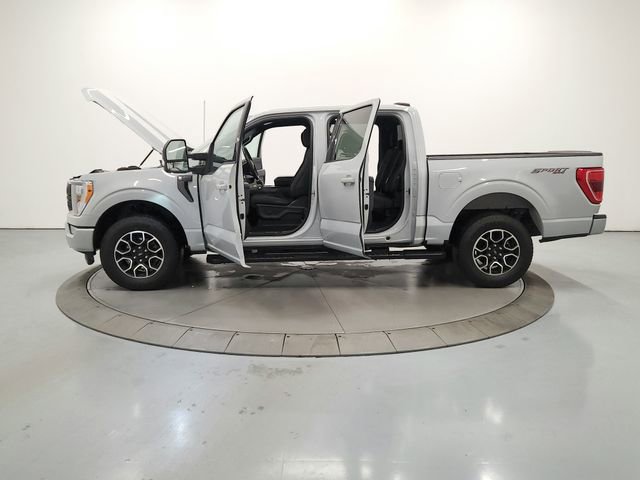Used 2023 Ford F150 XLT w/ Equipment Group 302A High image 12