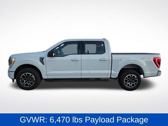 Used 2023 Ford F150 XLT w/ Equipment Group 302A High image 6
