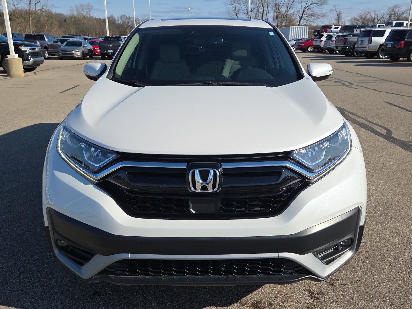 Used 2022 Honda CR-V EX-L image 10