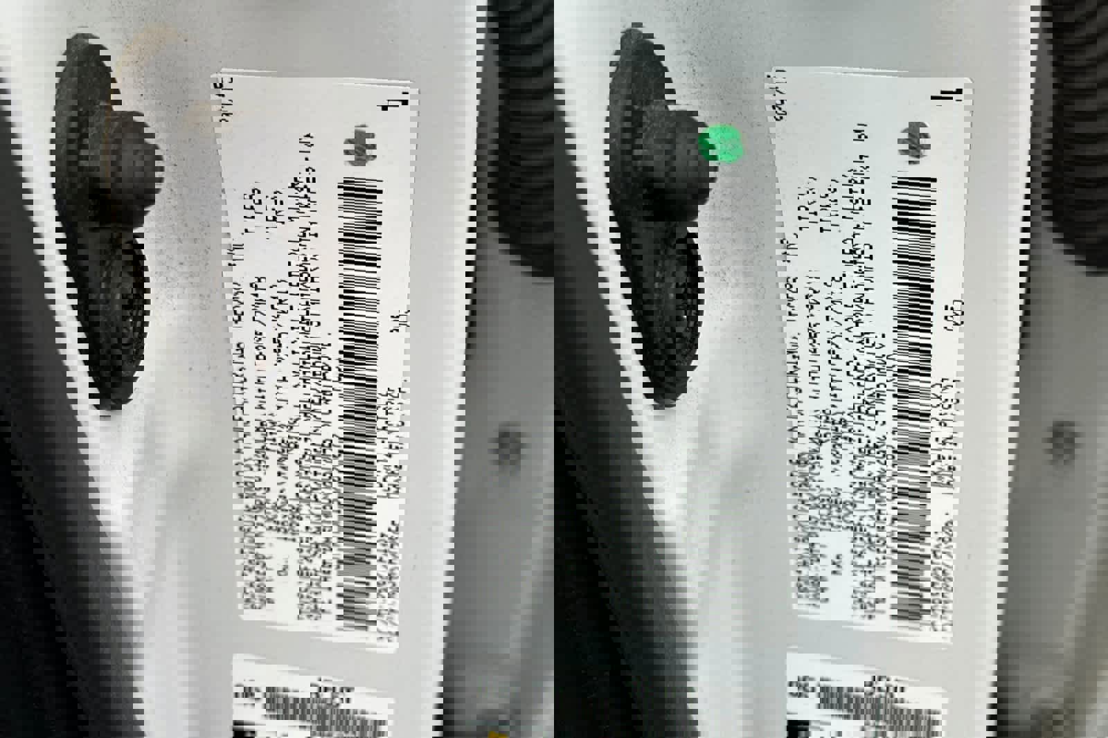 Used 2016 Toyota Tundra SR w/ Tow Package image 26