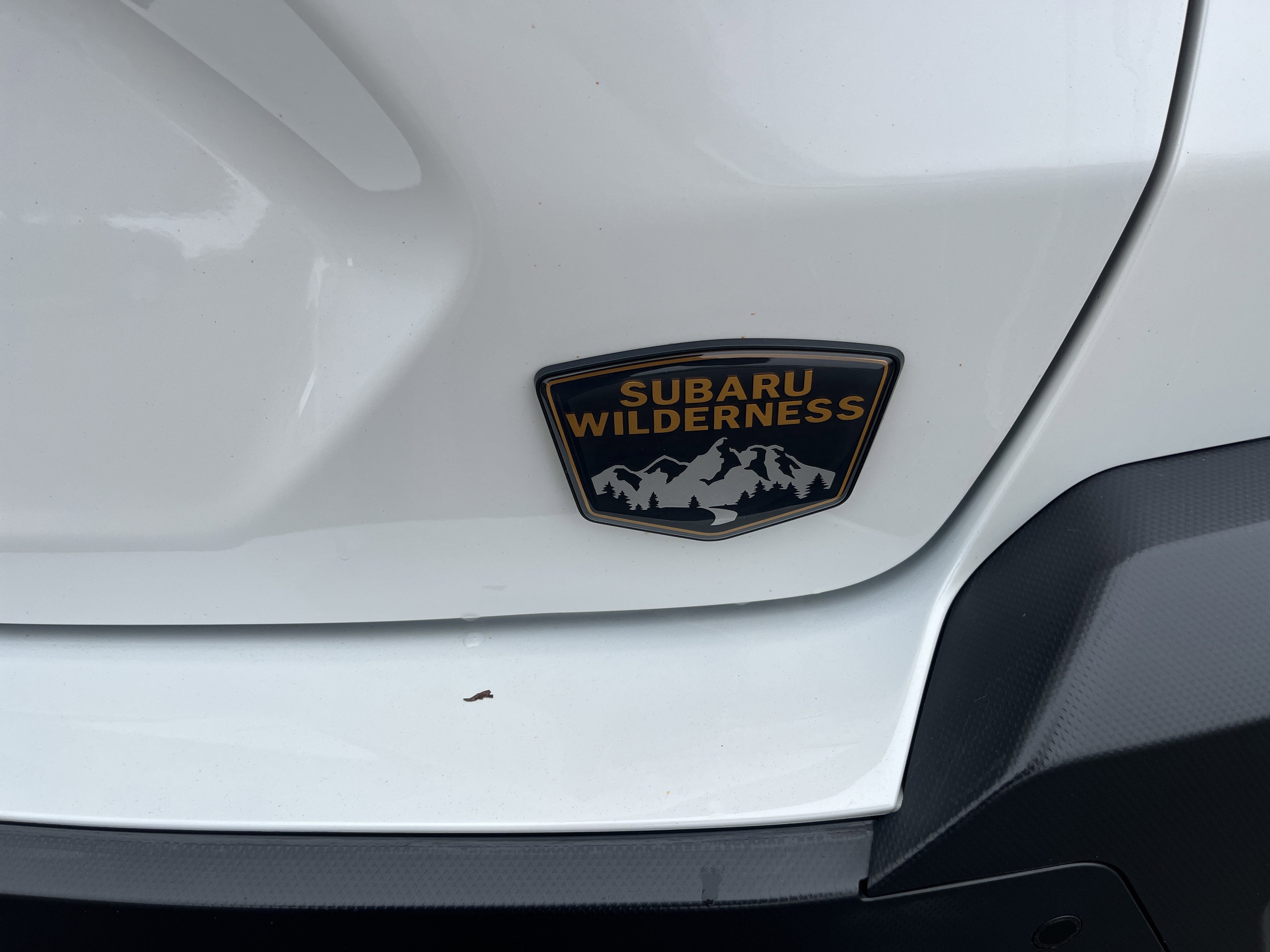 Used 2024 Subaru Crosstrek 2.5i Wilderness image 30