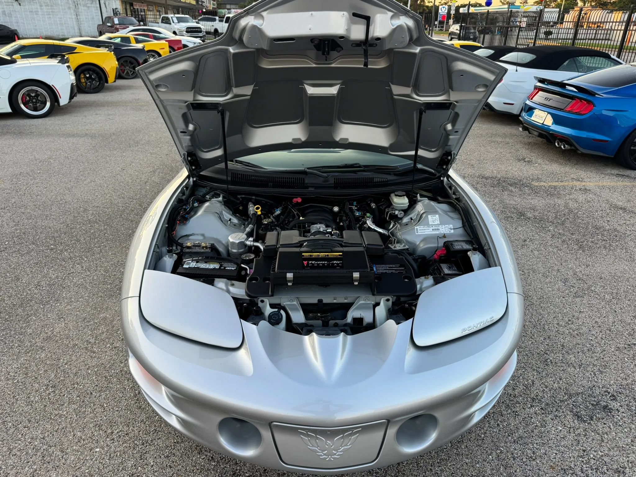 Used 2000 Pontiac Firebird Trans Am RWD image 44
