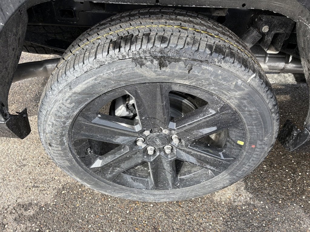 New 2026 Ford F150 STX w/ F-150 LOBO Package image 12