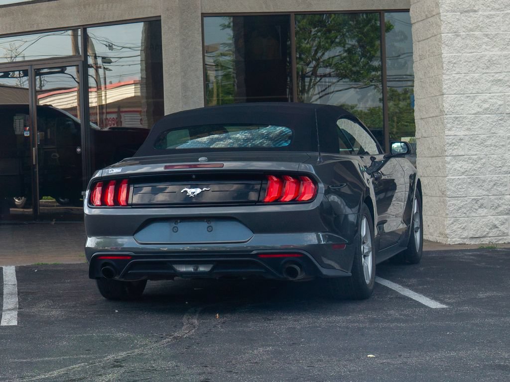 Used 2019 Ford Mustang Convertible RWD image 3