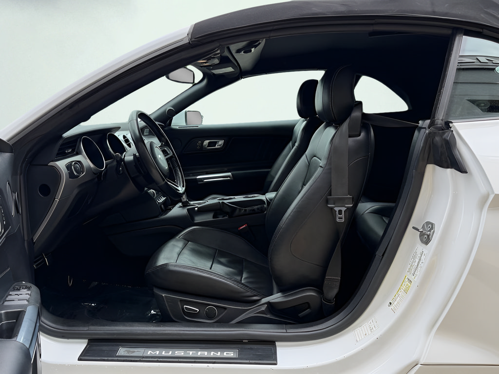 Used 2019 Ford Mustang Premium RWD image 16