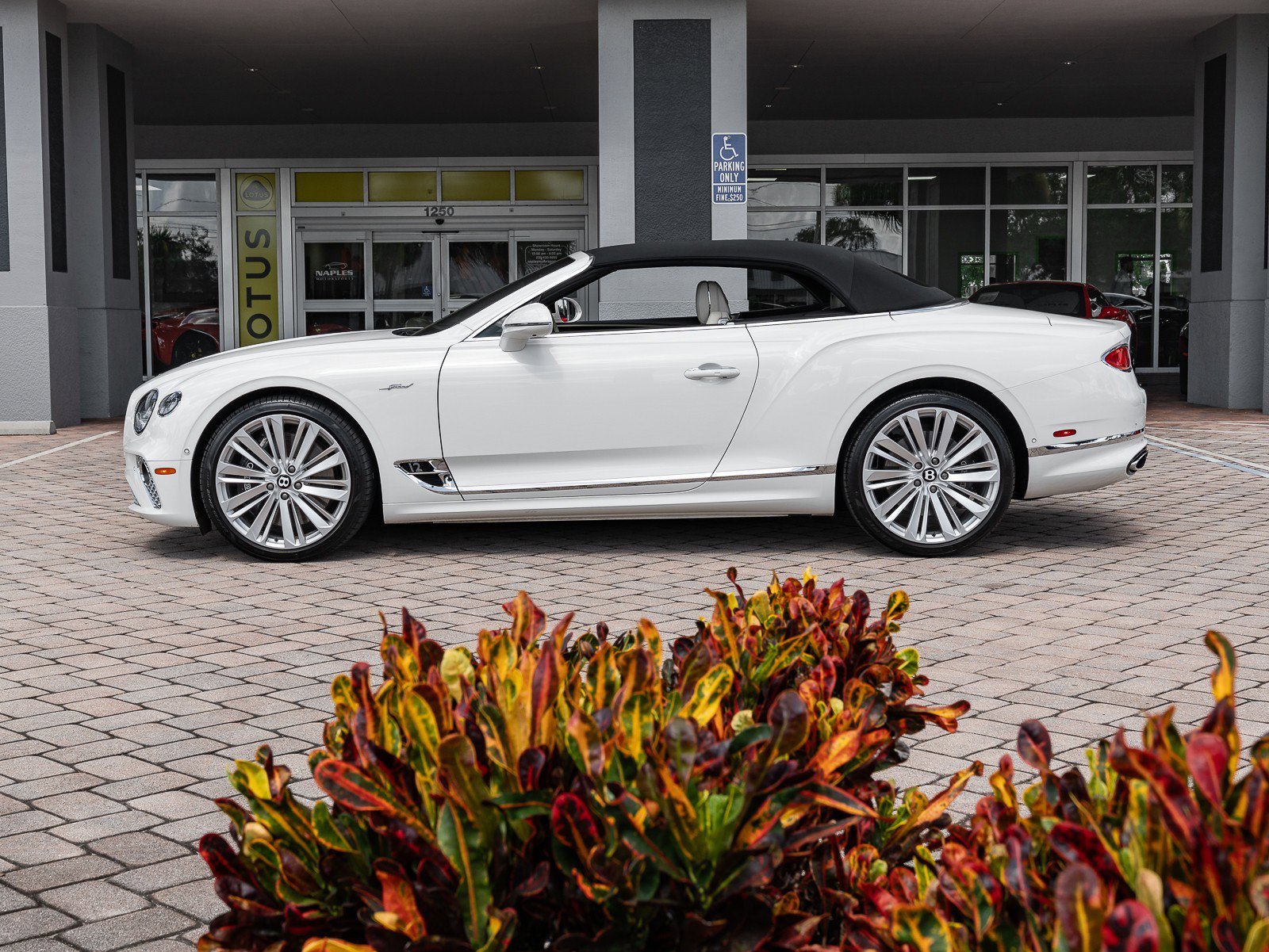 Used 2022 Bentley Continental GT Speed image 36