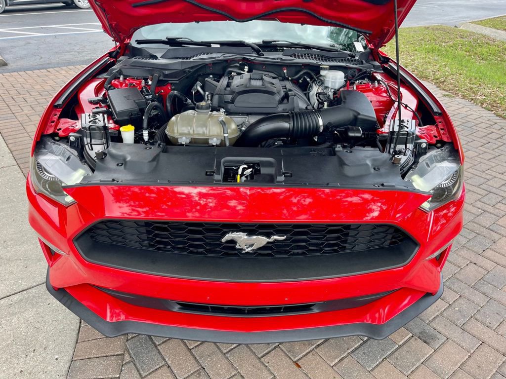 Used 2019 Ford Mustang Coupe w/ Equipment Group 101A image 15