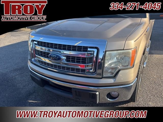 Used 2013 Ford F150 XLT w/ Luxury Equipment Group image 10