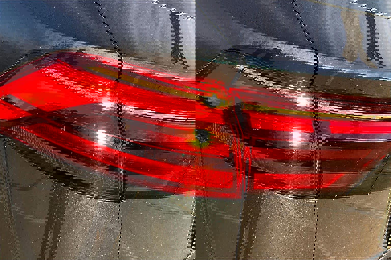 New 2026 Audi Q8 Premium Plus image 14