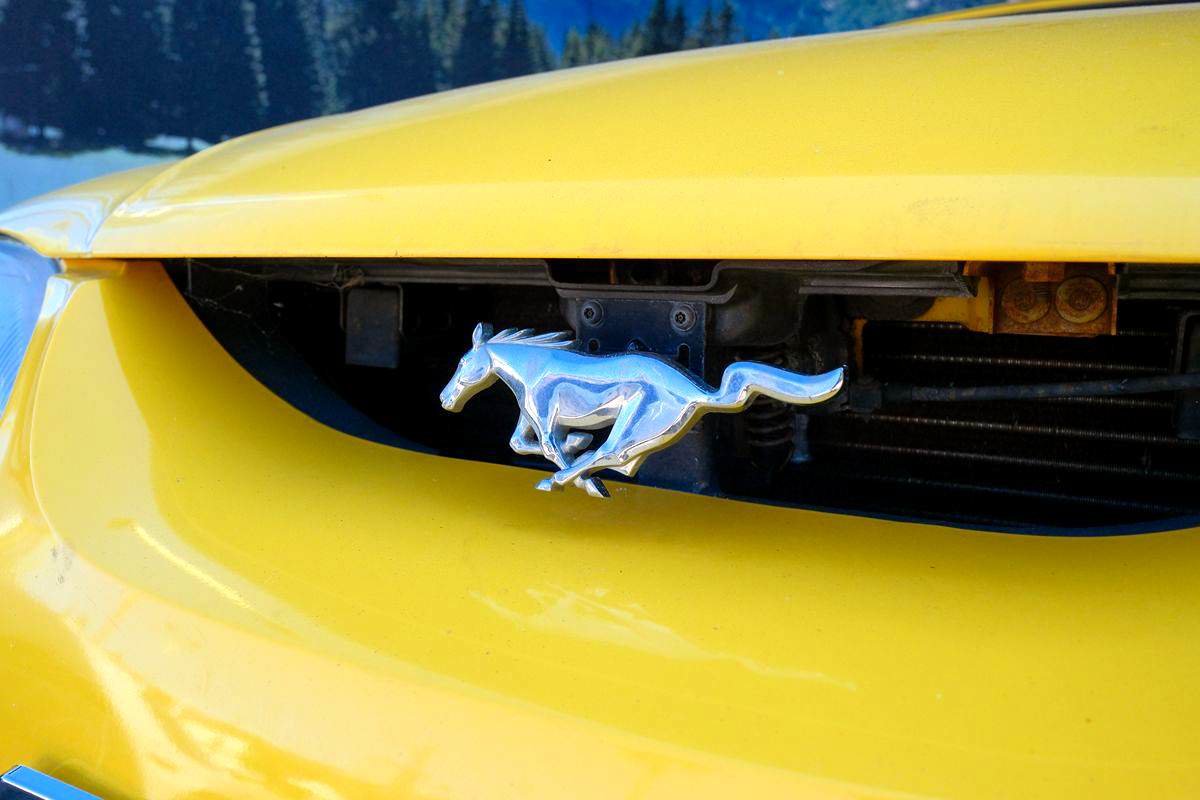 Used 1995 Ford Mustang GT RWD image 34