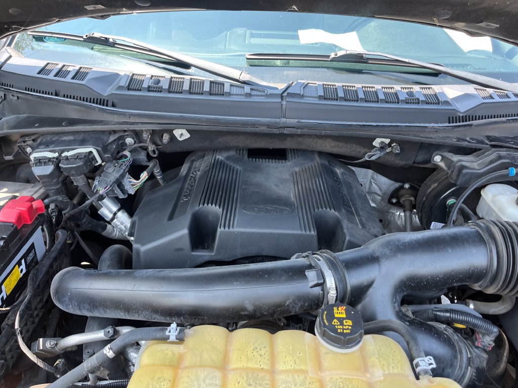 Used 2019 Ford F150 XLT w/ Equipment Group 302A Luxury AWD/4WD image 20