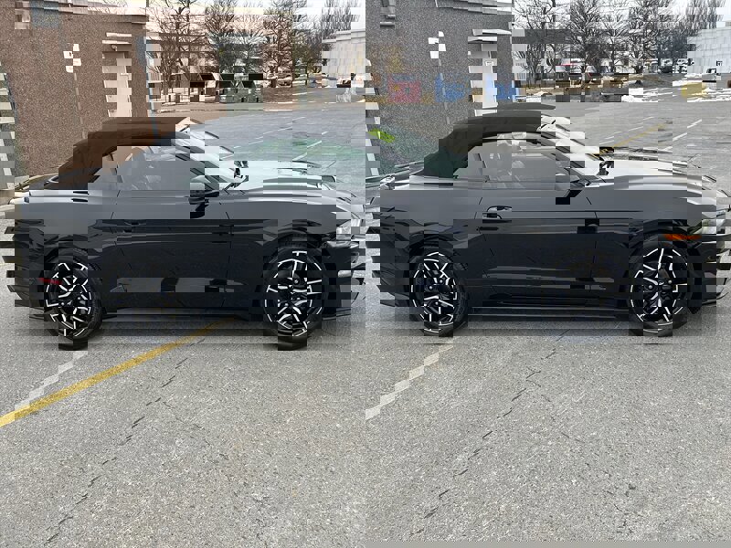 Used 2018 Ford Mustang Premium image 2