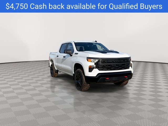 New 2026 Chevrolet Silverado 1500 Custom Trail Boss w/ LPO, Dark Essentials Package image 2
