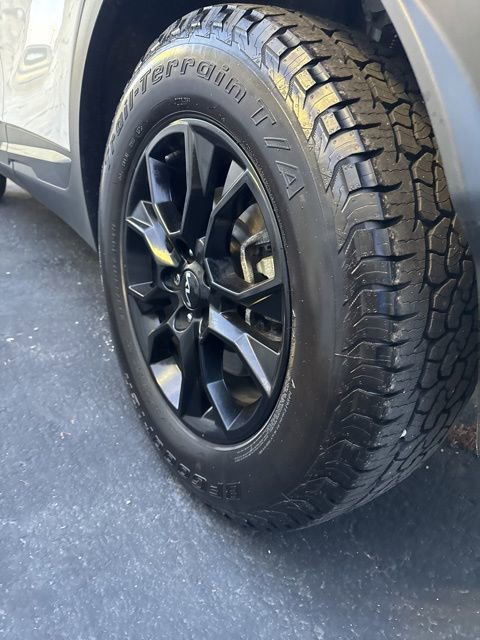 Used 2023 Kia Sportage X-Pro image 5