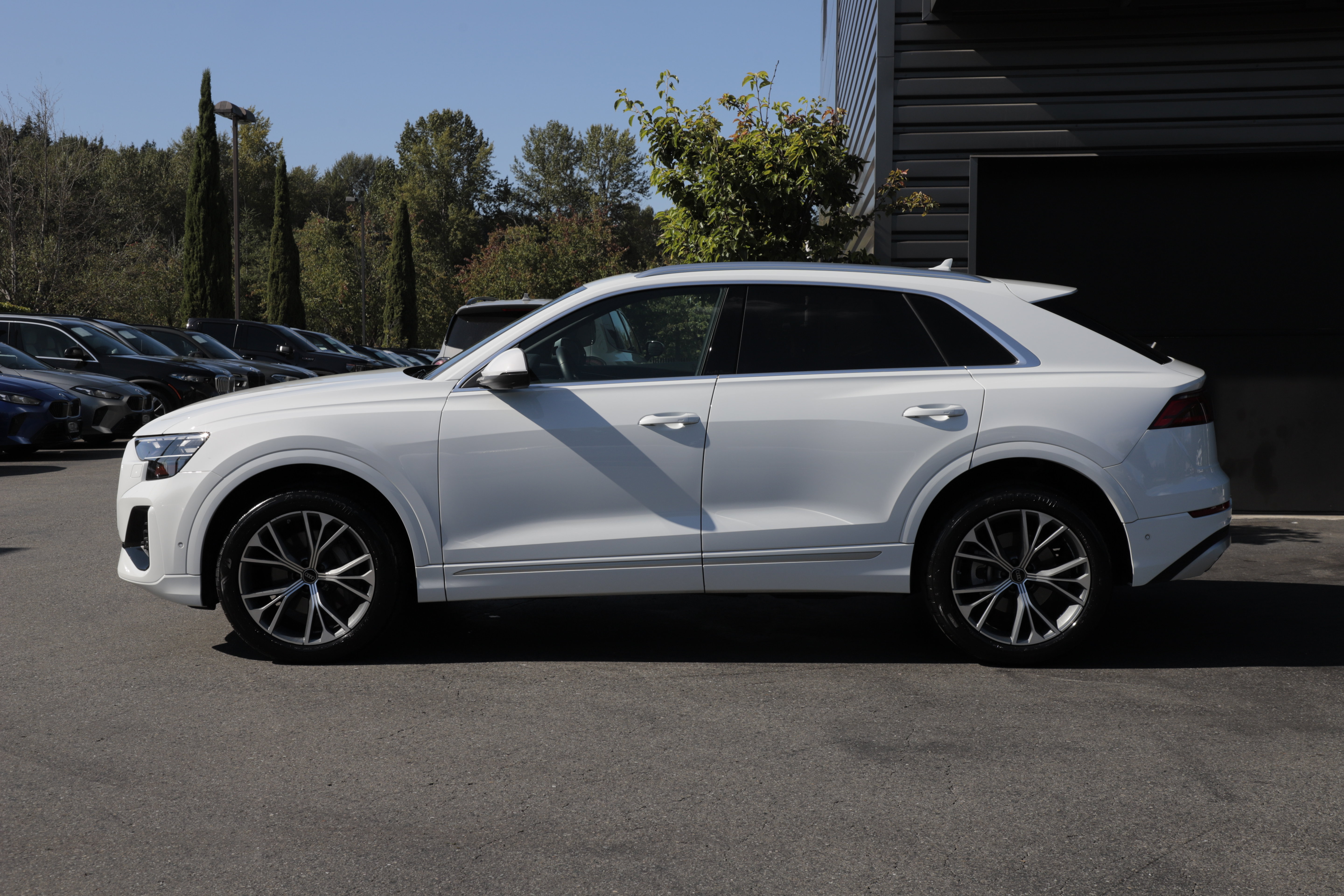 Used 2024 Audi Q8 Premium Plus AWD/4WD image 5