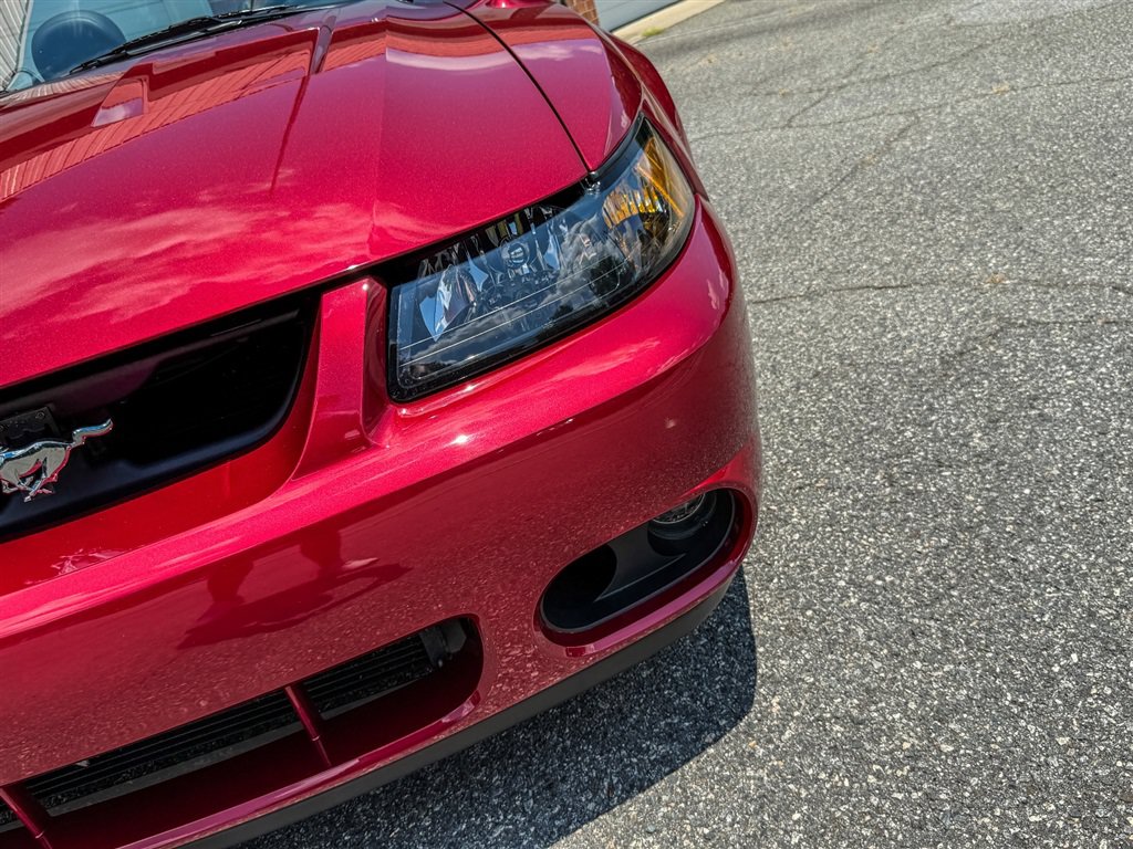 Used 2004 Ford Mustang Cobra RWD image 15