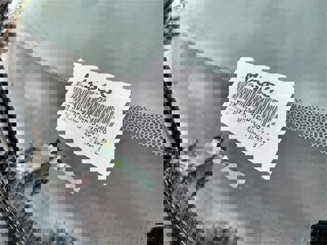 New 2025 Toyota RAV4 LE image 38