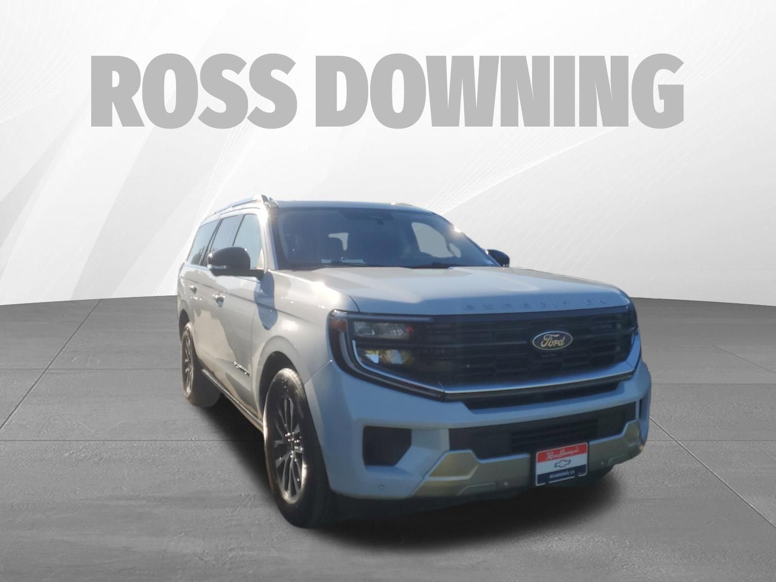 Used 2025 Ford Expedition Platinum image 3