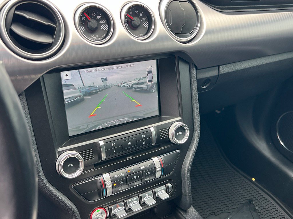 Used 2019 Ford Mustang Bullitt RWD image 14
