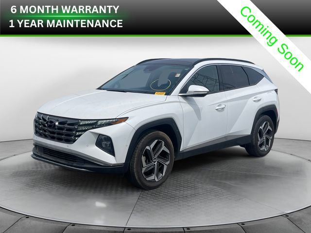 Used 2023 Hyundai Tucson Limited image 1