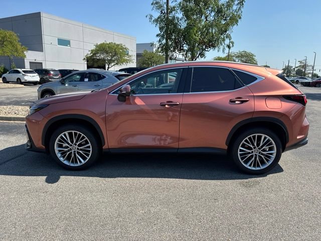 Used 2025 Lexus NX 350 AWD w/ Cold Area Package image 6