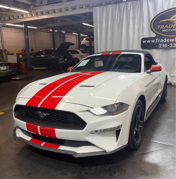 Used 2019 Ford Mustang Premium image 3