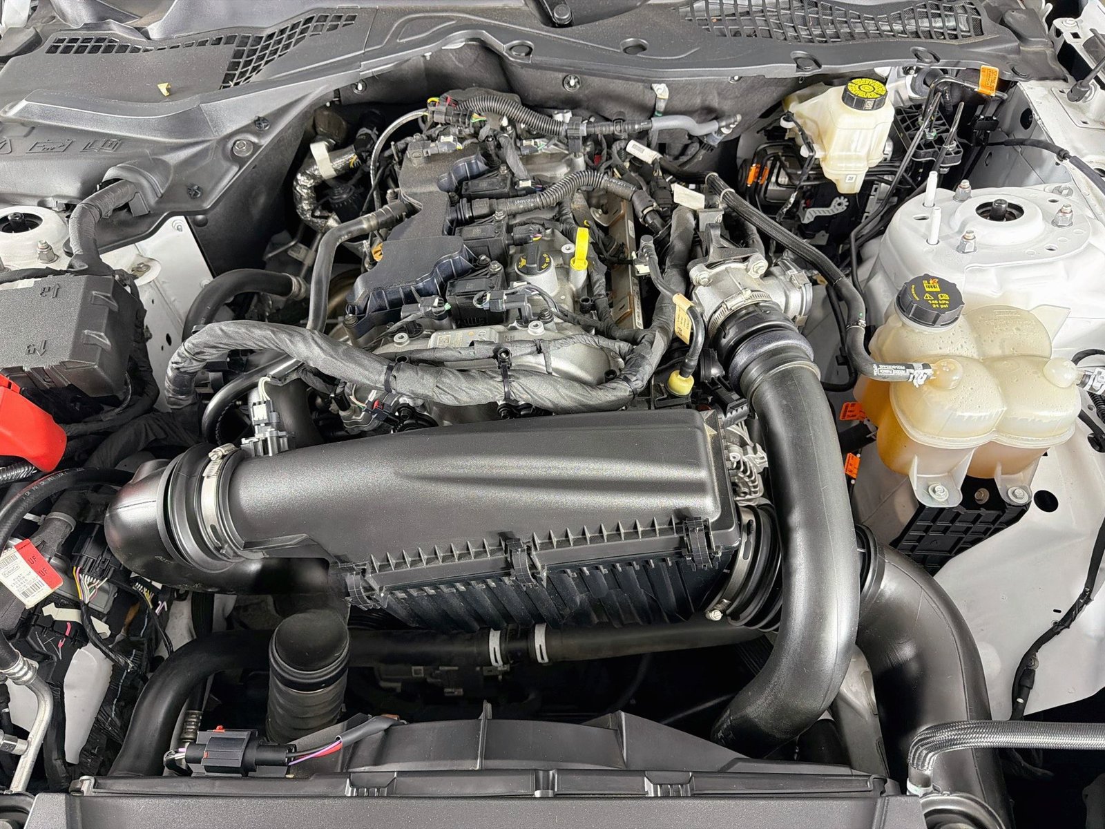 Used 2024 Ford Mustang Coupe RWD image 27