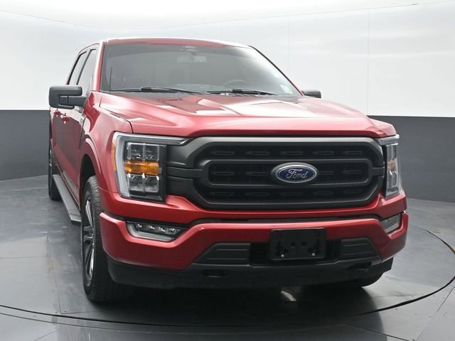 Used 2022 Ford F150 XLT w/ Equipment Group 302A High image 2