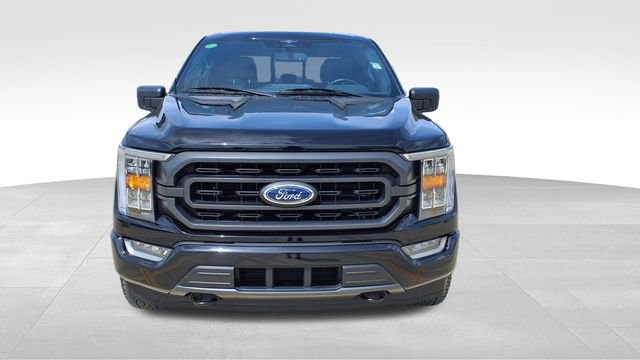 Used 2023 Ford F150 XLT w/ Equipment Group 302A High image 2