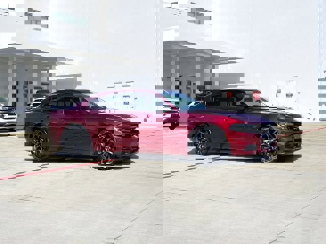 Used 2019 Dodge Charger SXT w/ Blacktop Package image 5